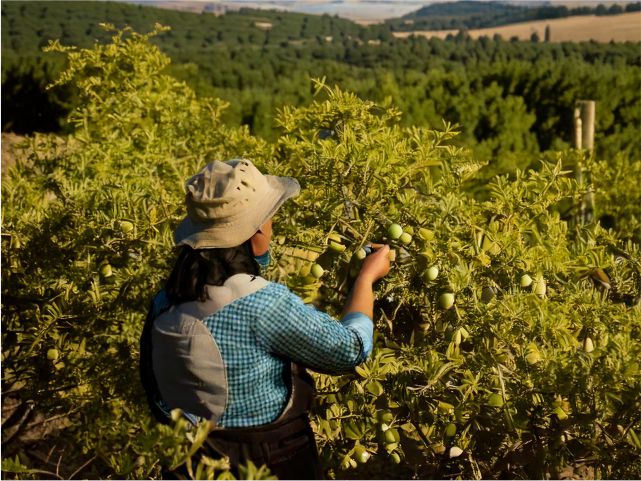 15 de octubre: ¿por qué celebrar a las mujeres rurales a nivel global?