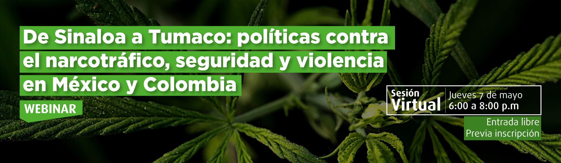 De Sinaloa a Tumaco: políticas contra el narcotráfico, seguridad y violencia en México y Colombia- Cider | Uniandes