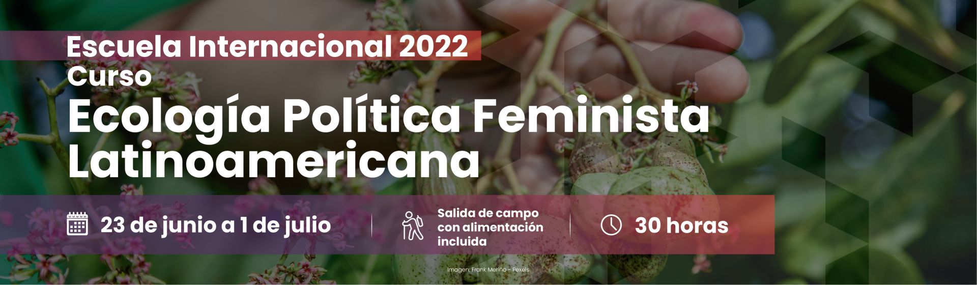 Curso Internacional de Verano: Ecología Política Feminista Latinoamericana 