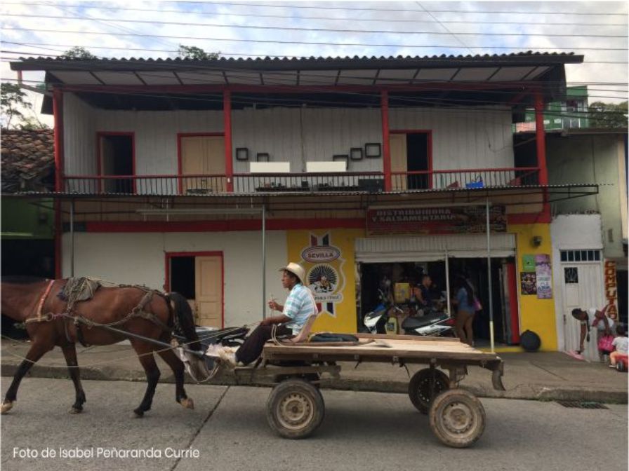 Las Ciudades Amazónicas como un reto y oportunidad en medio del COVID-19 - Cider | Uniandes