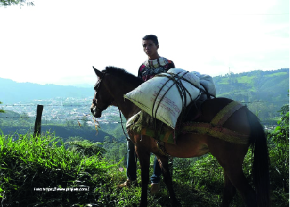 Foto joven con un caballo cargado. Análisis y documentación del modelo de desarrollo rural impact - Cider | Uniandes