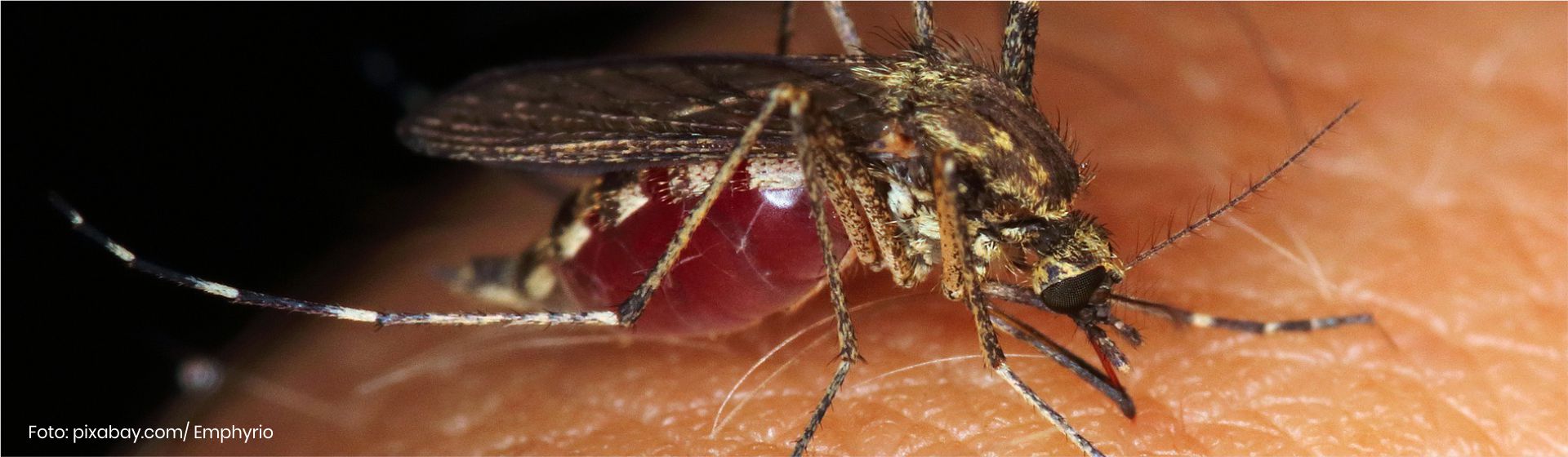 Epidemia de Zika vivida en Colombia. Día mundial del medio ambiente- Cider | Uniandes