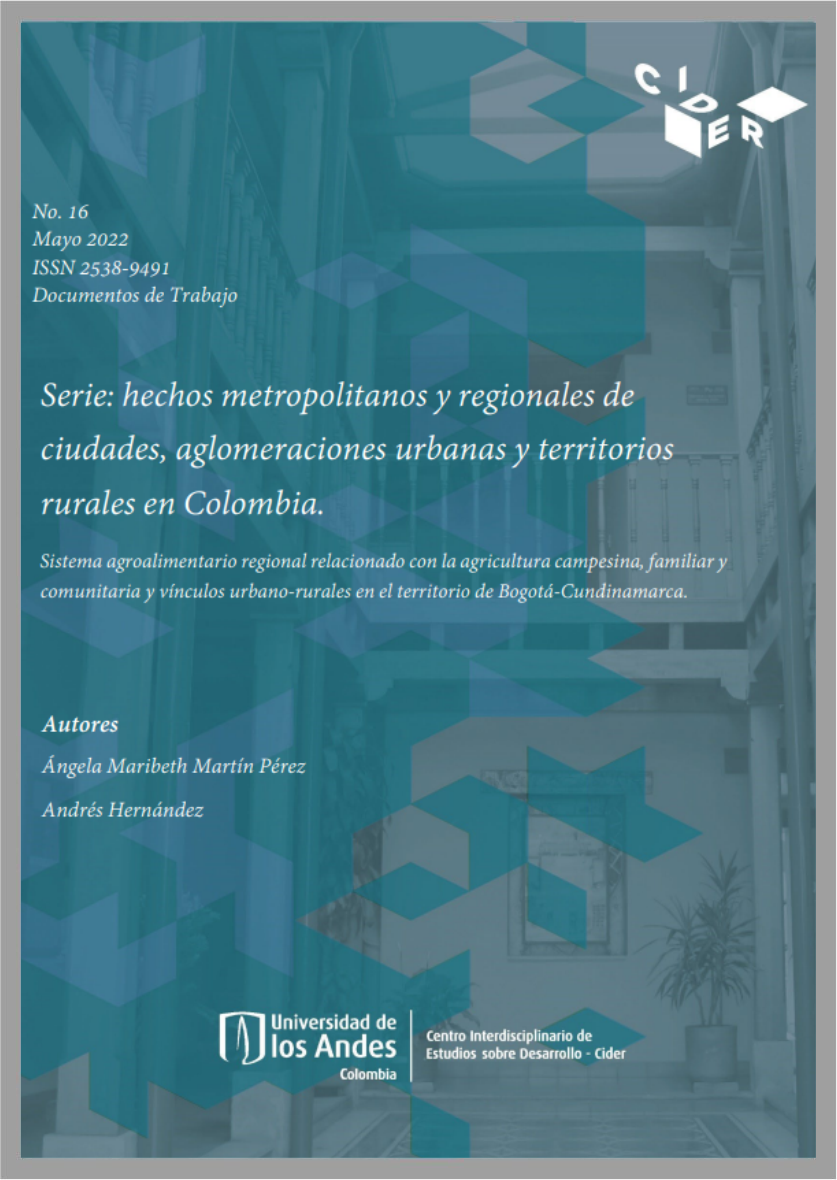 Documentos de trabajo #16 Serie: hechos metropolitanos y regionales de ciudades, aglomeraciones urbanas y territorios rurales en Colombia | Cider | Uniandes 