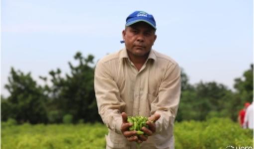 Definición de la frontera agrícola: Encuentros y desencuentros con el ordenamiento territorial étnico, ambiental y minero- Cider | Uniandes