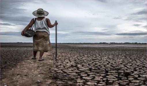 Para qué Colombia va a la COP28 en Dubái y qué debemos exigir allí | Cider Uniandes