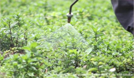 Agua: el recurso más valorado por la agricultura