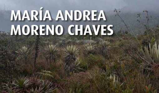 Diario de campo María Andrea Moreno