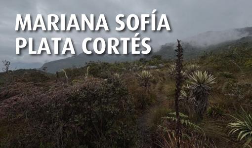 Diario de campo 