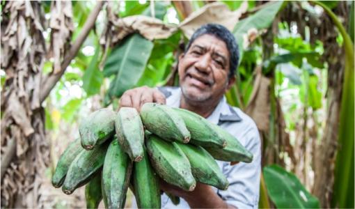 Nuevas ruralidades América Latina Cider | Uniandes 