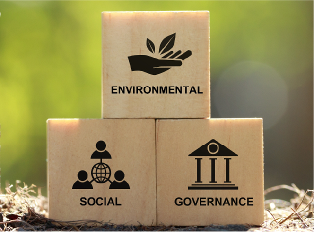 Cajas de madera con íconos ESG (ambiental, social y gobernanza) junto a pilas de monedas con plantas creciendo.