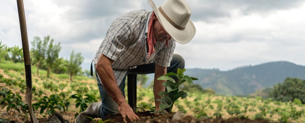 El reconocimiento constitucional del campesinado en Colombia
