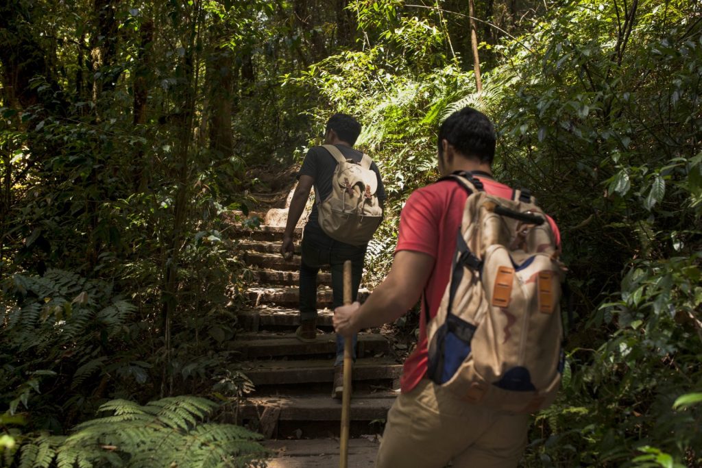 turismo sostenible y Diversificación productiva en Colombia